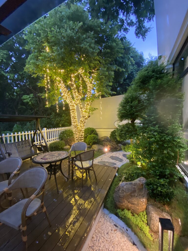 Z5645842176817_5e7ffaa9326b56b407d98daf7c8e0168