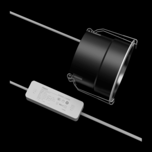 ảnh Dowlight T2_2