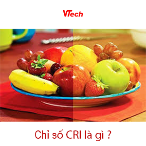 ảnh đại Diện Cri