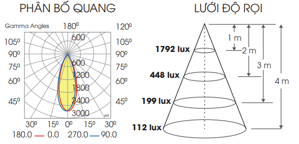Phổ Quang Spotlight